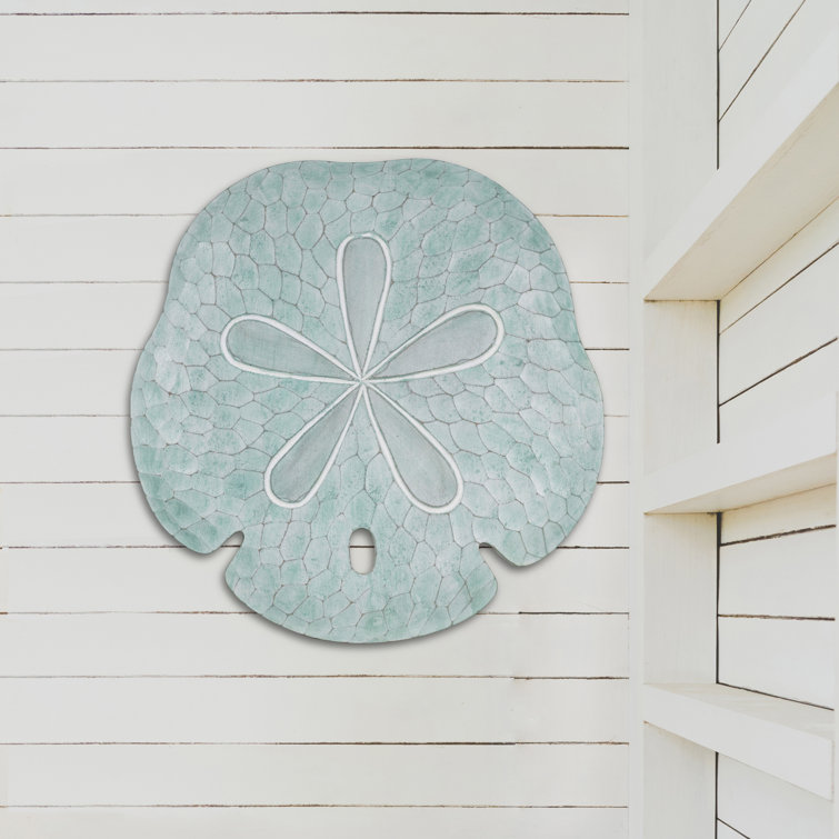 Highland Dunes Sand Dollar Wall Décor & Reviews Wayfair